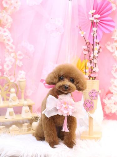 20250308モコちゃん